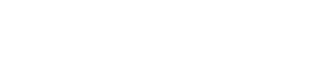 Sentinel Commercial Life